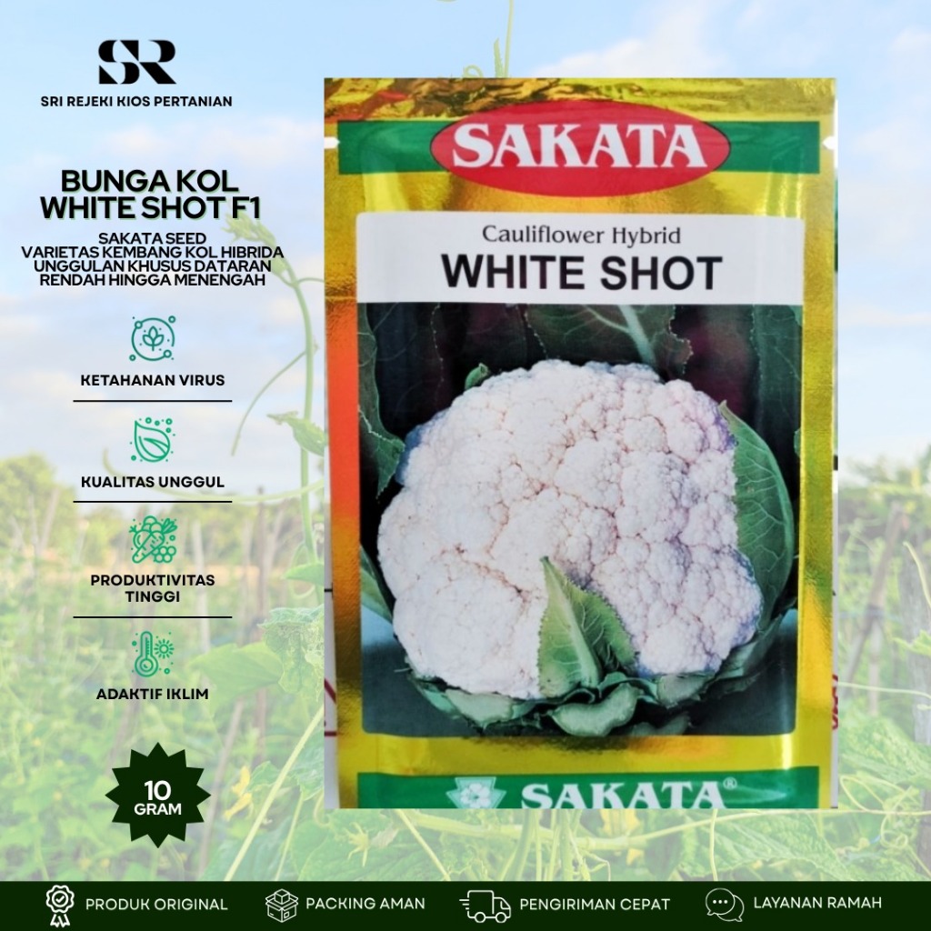 benih bunga kol hybrida produksi sakata WHITE SHOT F1 kemasan 10 gram 100% original pabrik