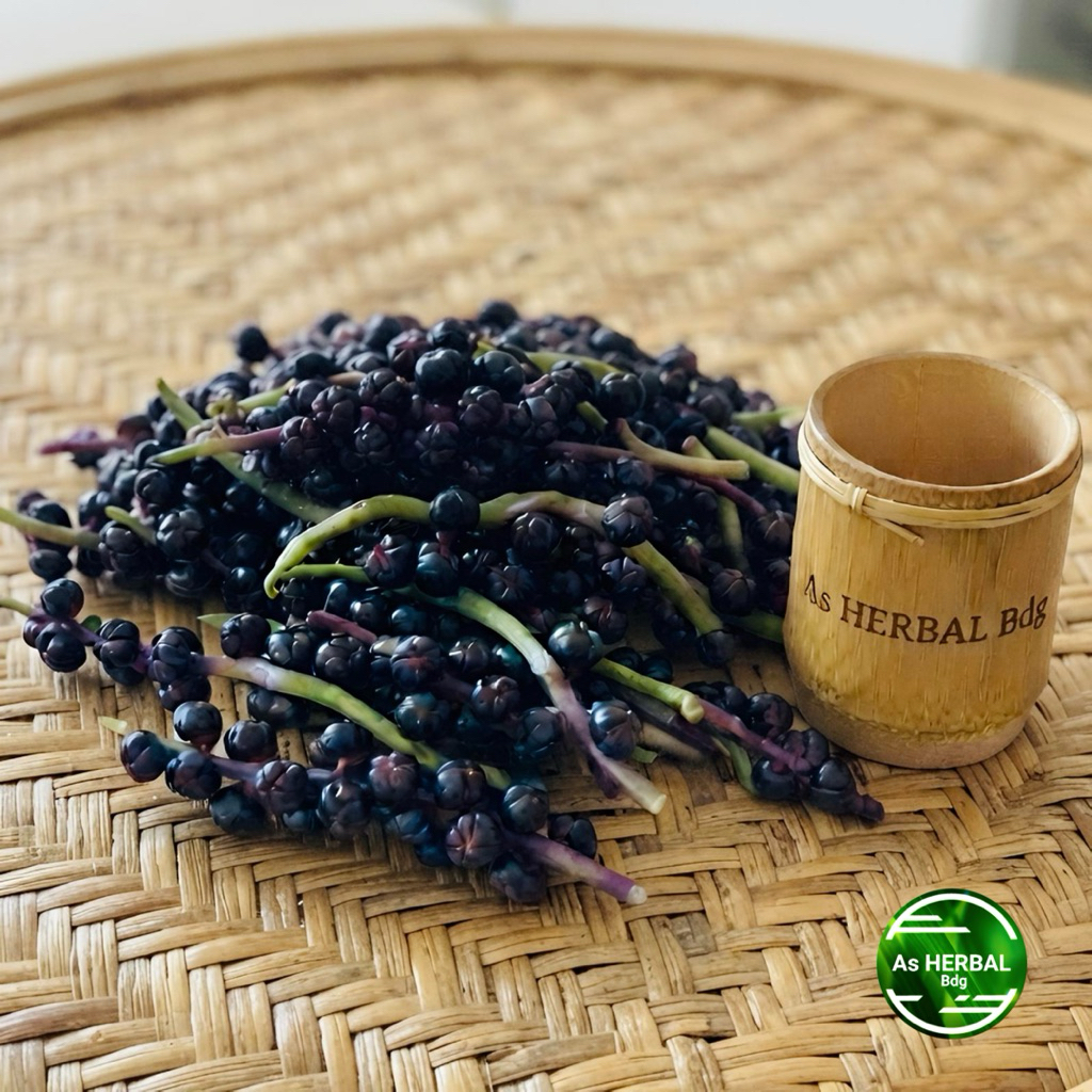Buah angkung segar / biji buah angkung fresh-az