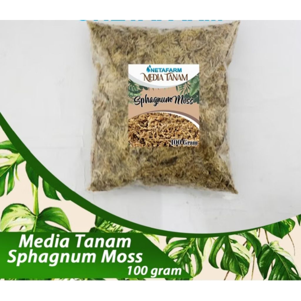 spagnum moss