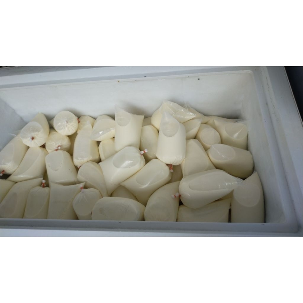 Susu sapi Segar 100% Asli