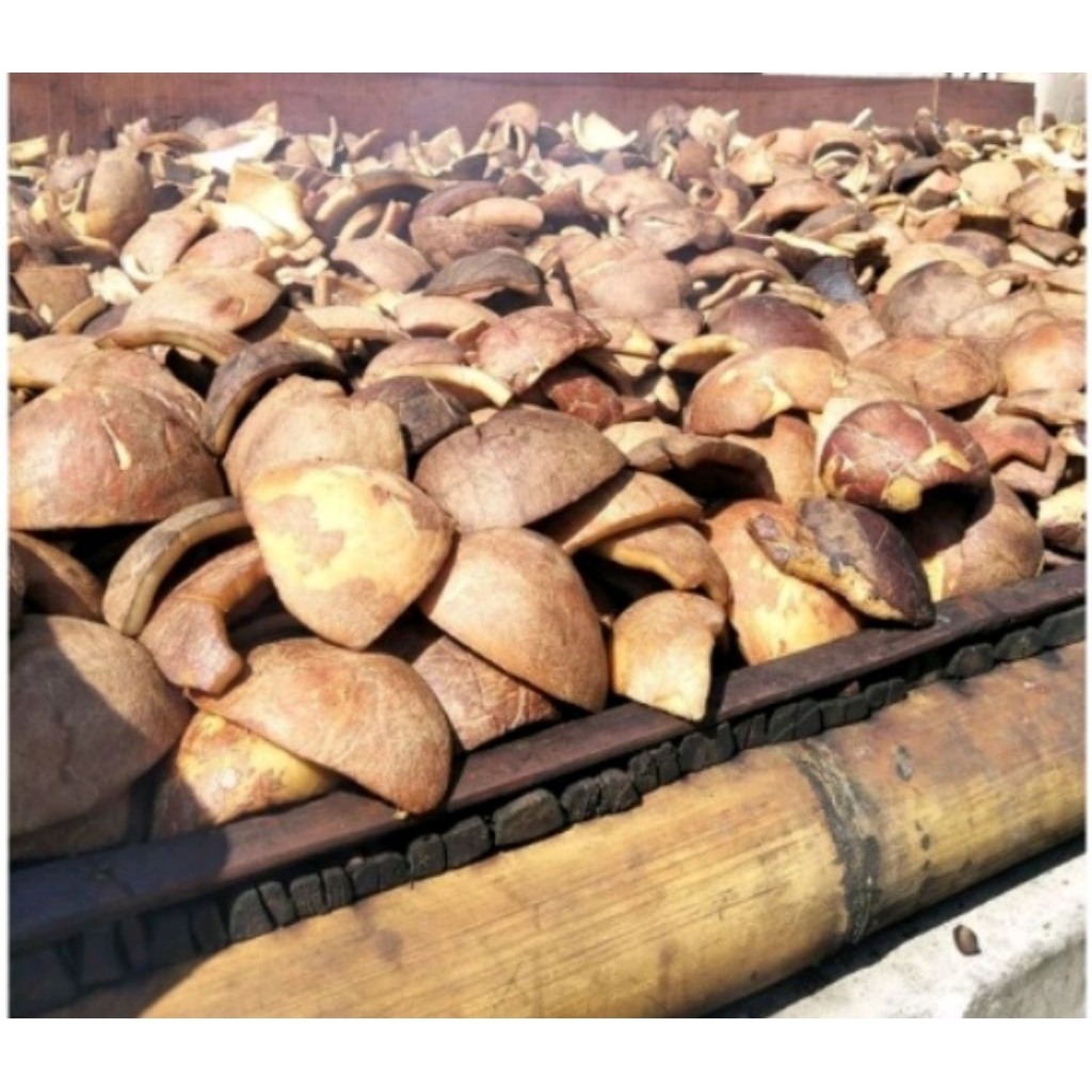 Kopra kelapa kering murah asli dari petaninya