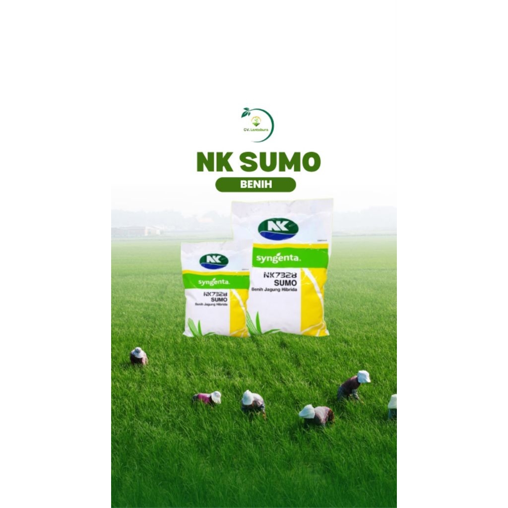 NK 7328 SUMO
