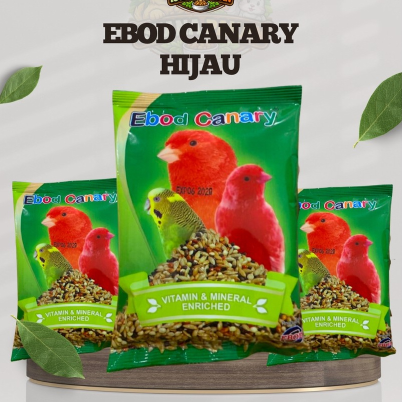 EBOD CANARY Seed Hijau Pakan Burung Kenari