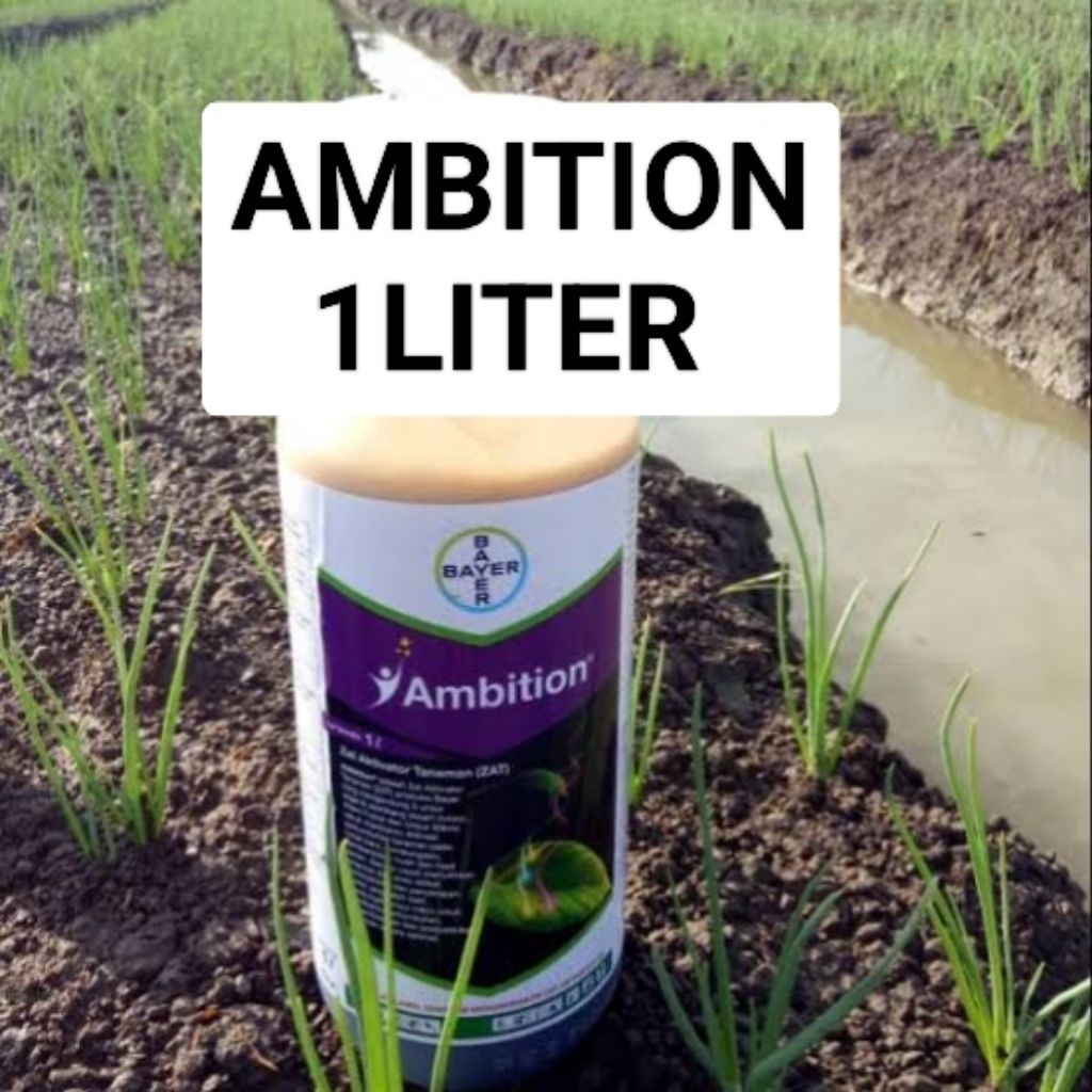 Ambition ZAT 1 Liter / ambition penyubur tanaman / bayer ambition / ambition bayer / pupuk ambition 