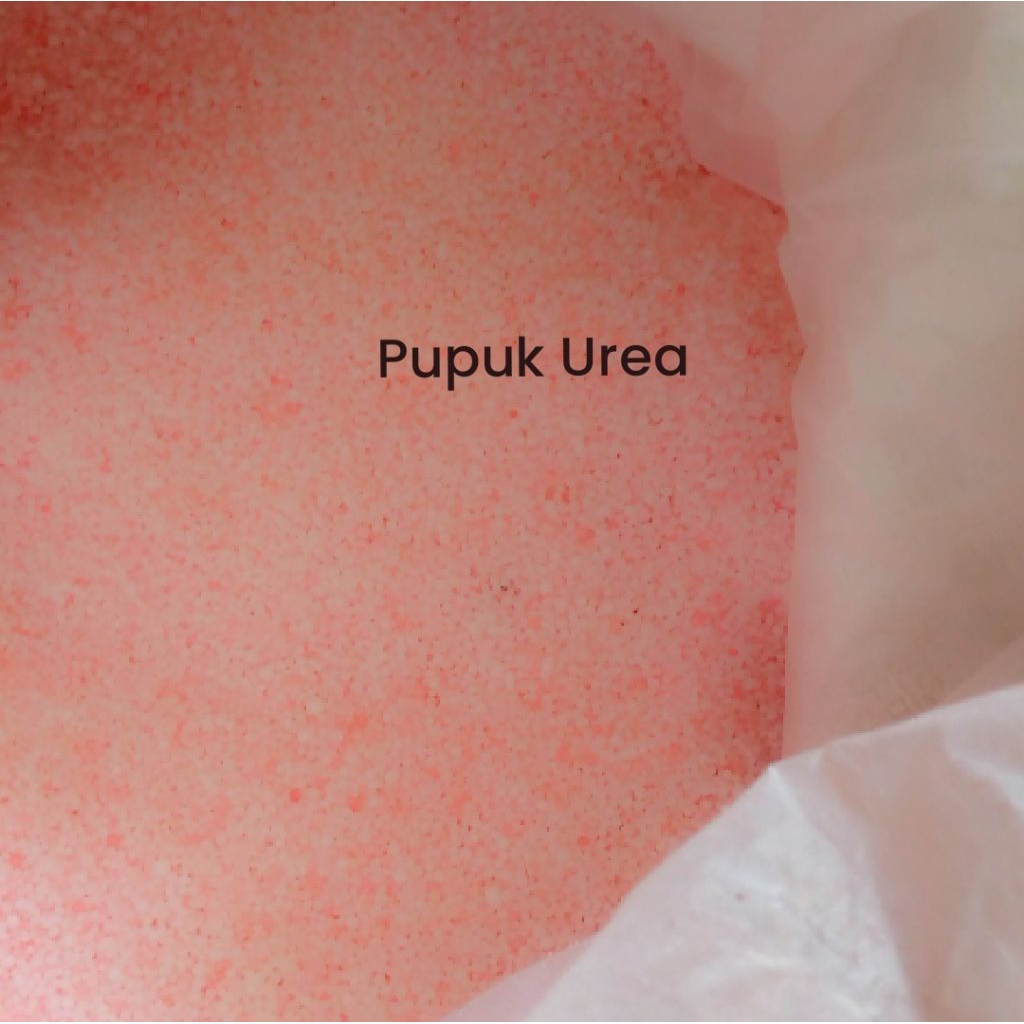 Pupuk Urea 50kg Nitrogen 46% Pupuk Untuk Tanaman