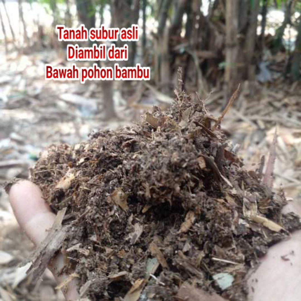 humus bambu media tanam penghasil bakteri penyubur tanaman 5kg