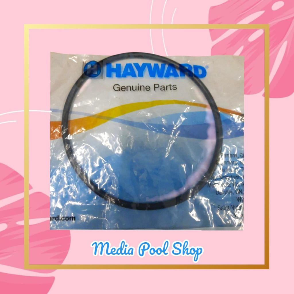 Seal Oring Filter Hayward - Untuk Semua Tipe Filter Hayward (Karet Biru)