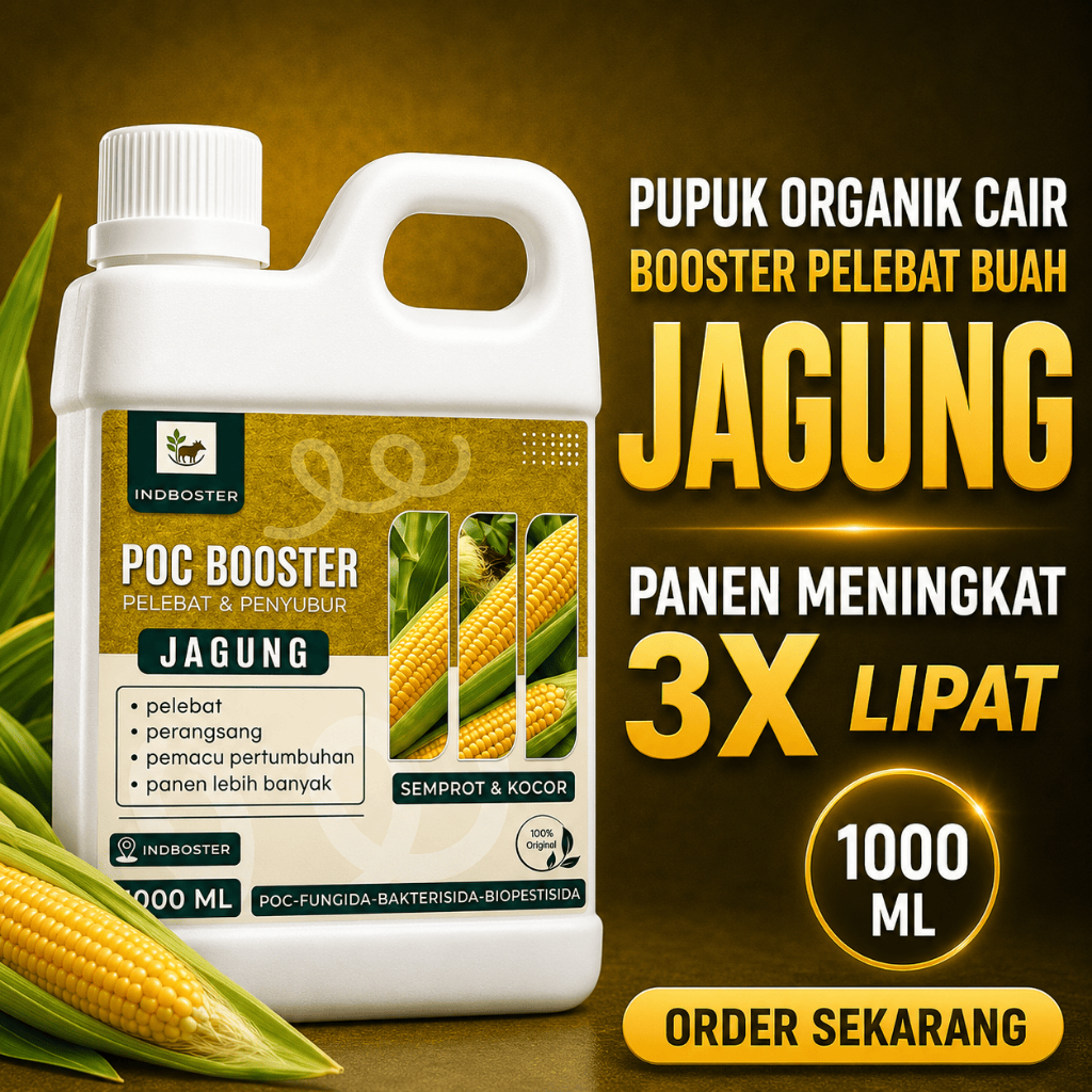 Pupuk Jagung Masa Pertumbuhan / Pupuk Jagung Pembesar Buah / Pupuk Pembesar Jagung / Pupuk Booster J