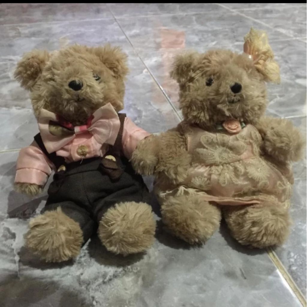 teddy bear original teddy house