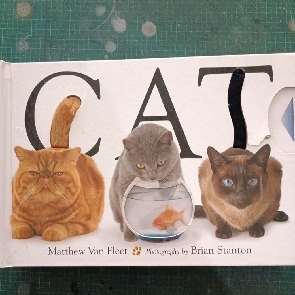 CAT/Matthew Van Fleet