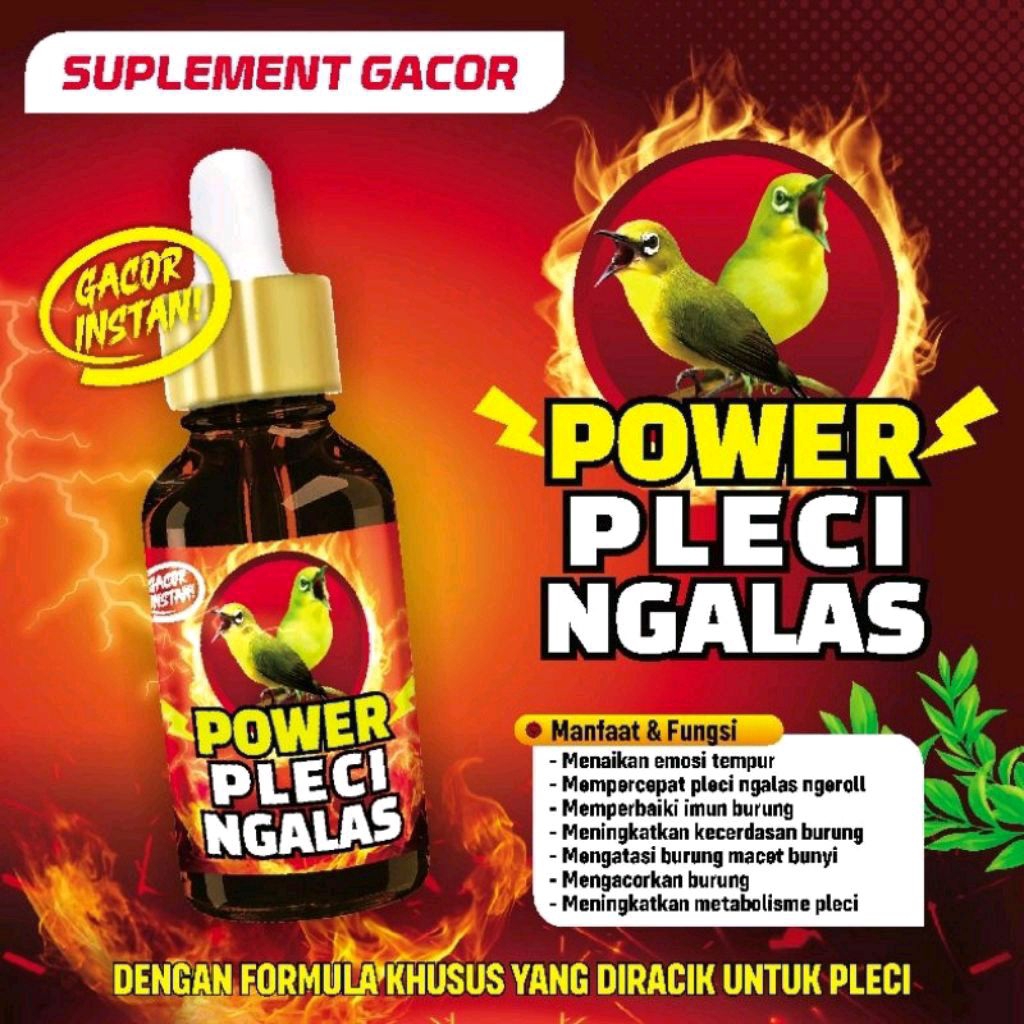 POWER PLECI NGALAS VITAMIN BURUNG PLECI DOPING PLECI DOSIS TINGGI METABOLIS BURUNG