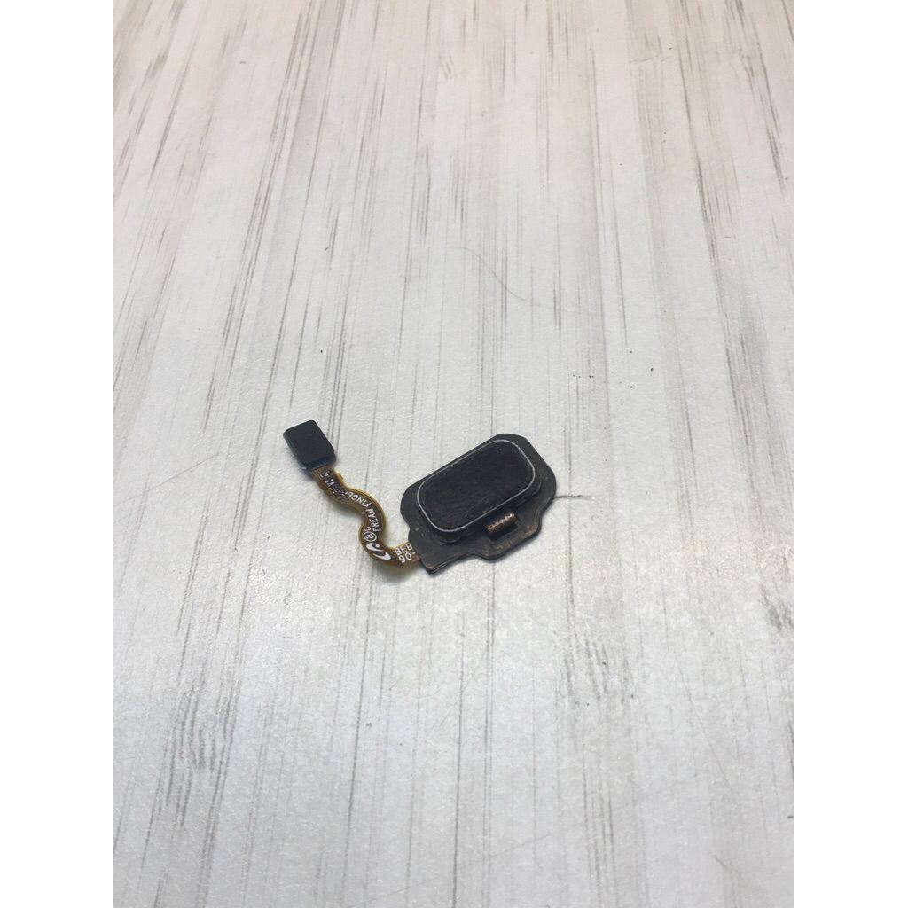 FLEXIBLE SAMSUNG S8 COPOTAN