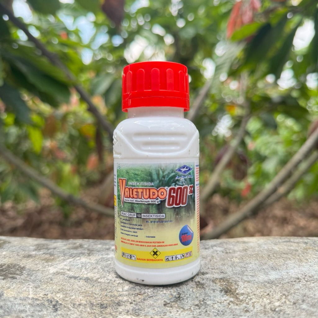 Insektisida Valetudo 600SC 100 ML