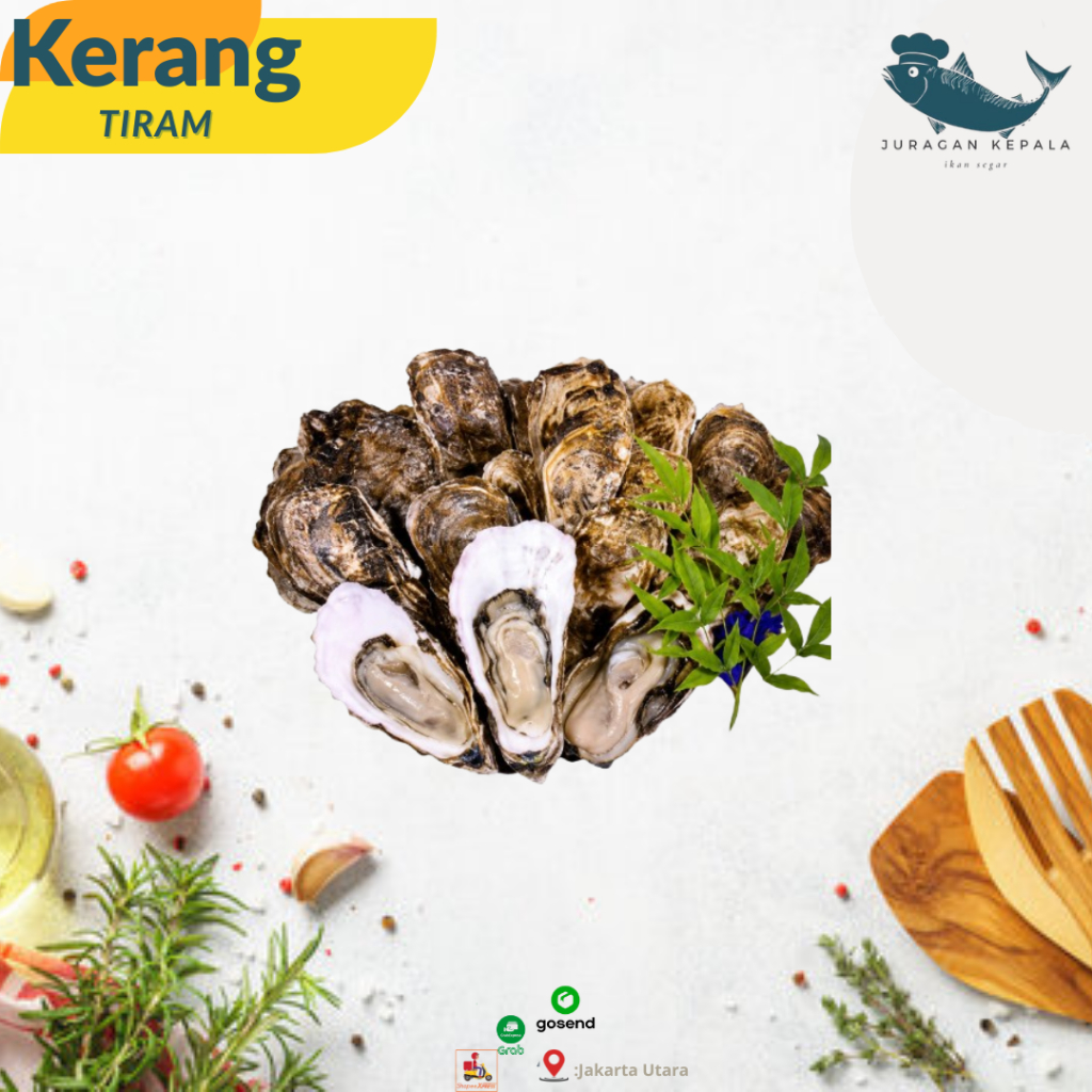 Juragan Kerang Tiram Segar / Kerang Tiram Segar 1KG