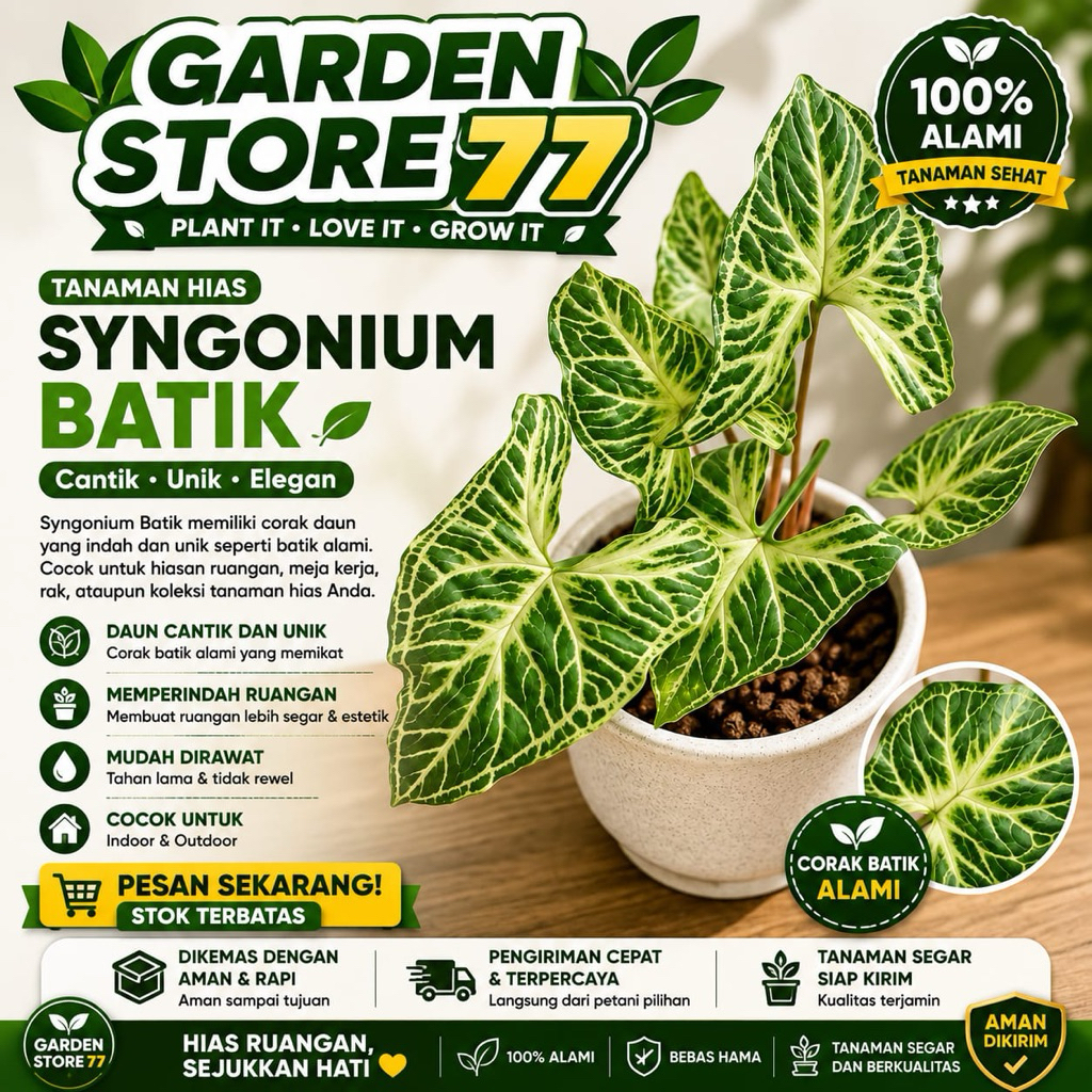 Tanaman hias syngonium batik / tanaman syngonium batik