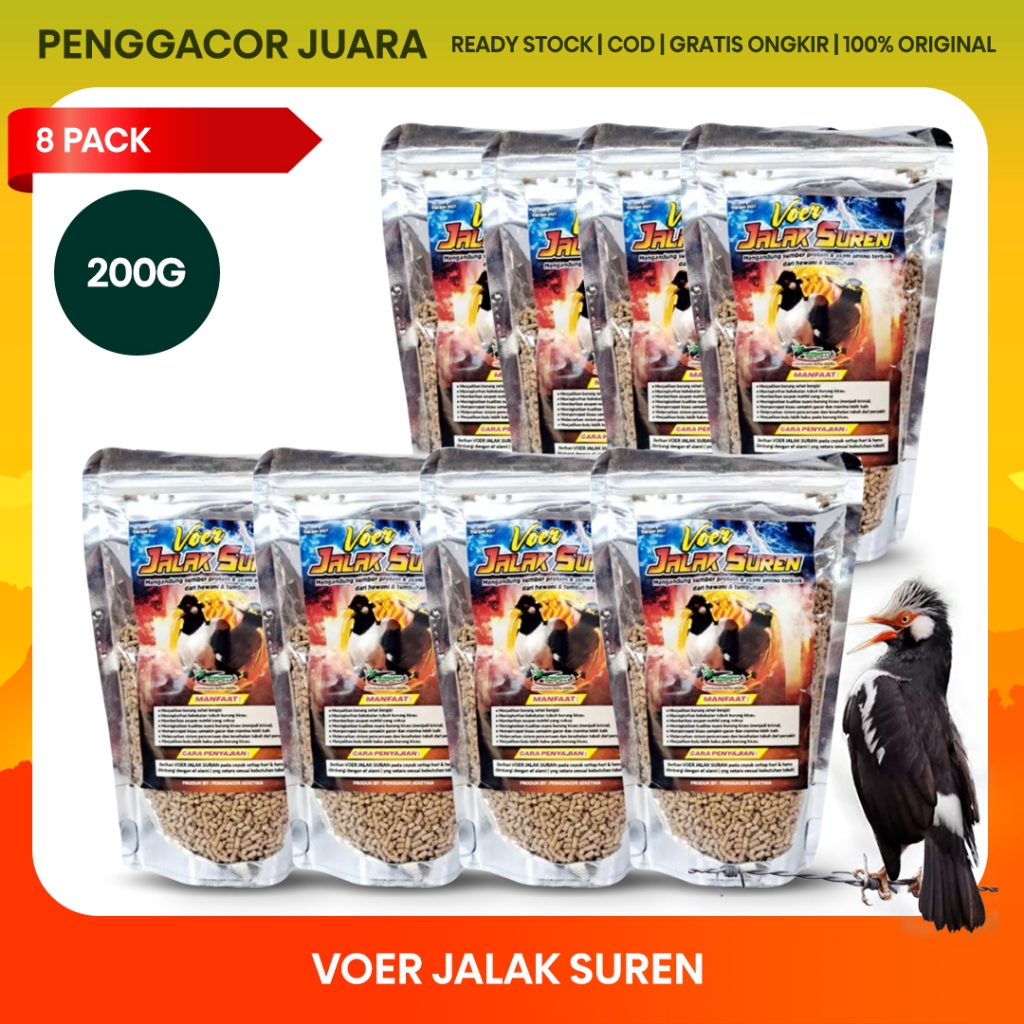 Paket 8 Pack - Voer Jalak Suren 200g Pakan Harian Penggacor Burung Jalak Suren Kebo Nias Putih Bali