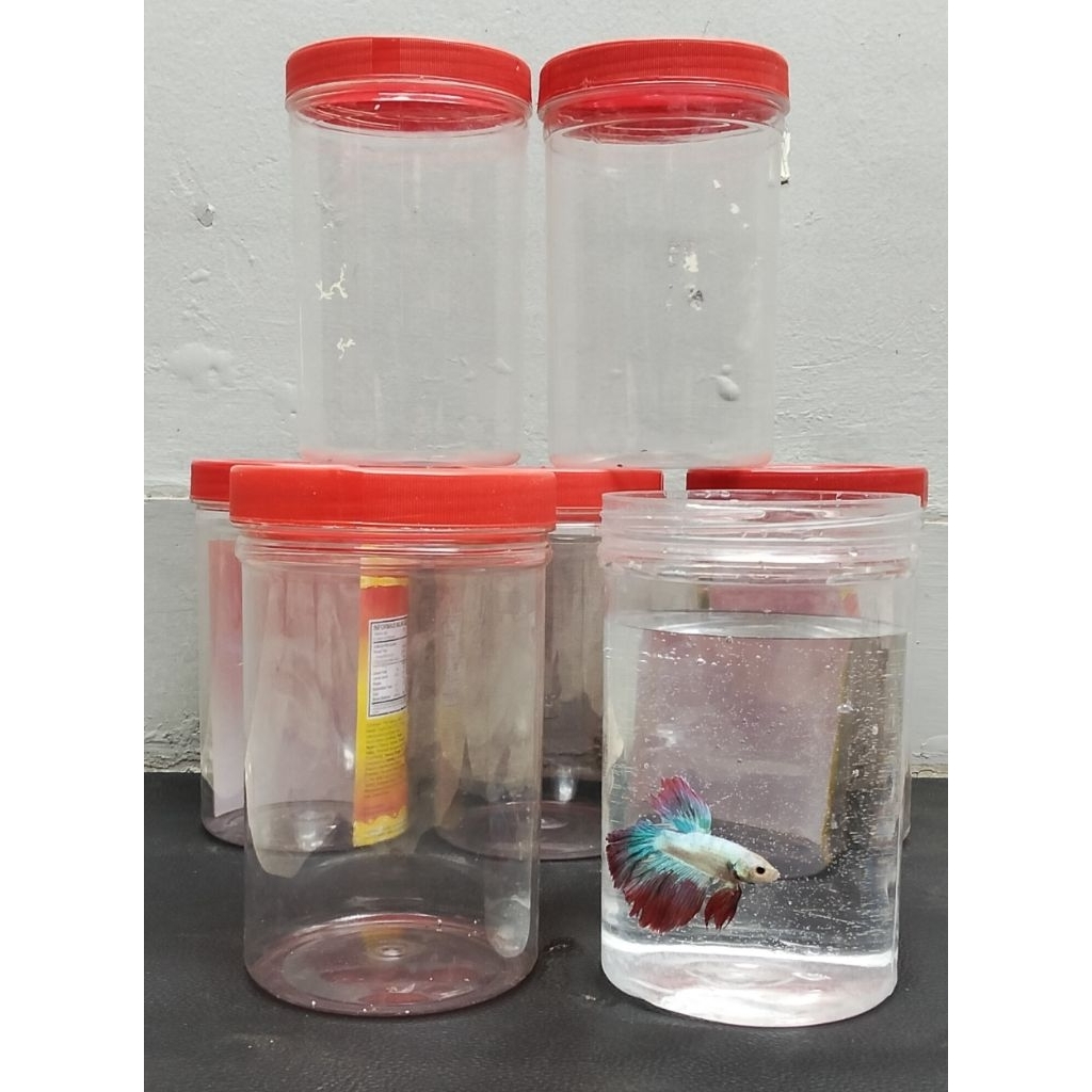 Aquarium Ikan - Cupang / Guppy / Glowfish ukuran 1 Liter