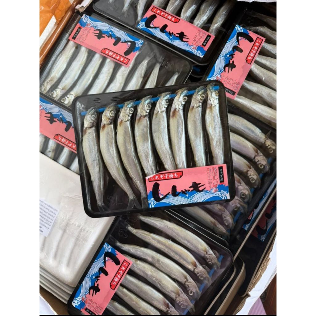 SHISAMO FISH