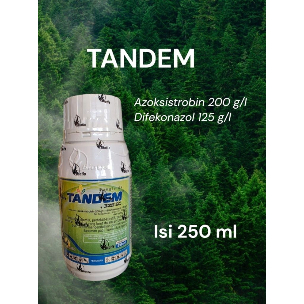 TANDEM (fungisida azoksistrobin,difekonazol)