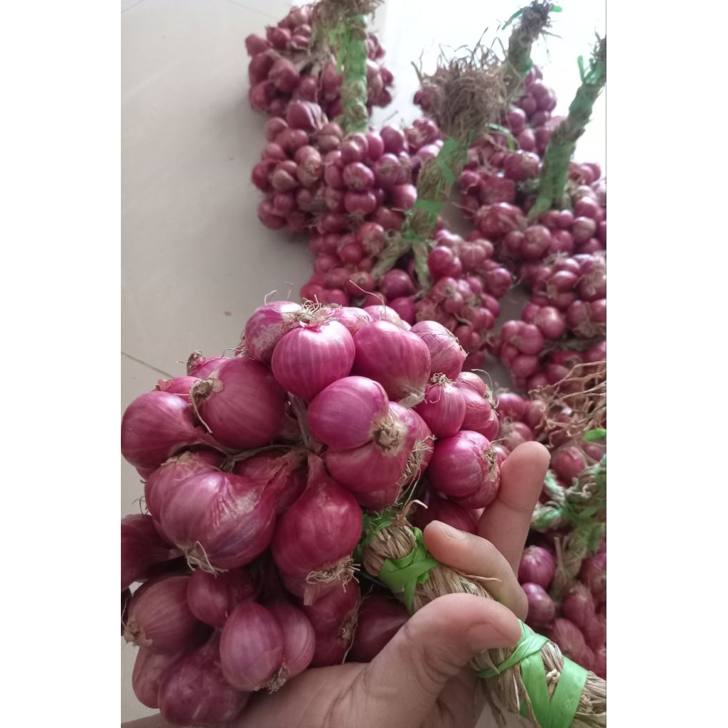 bawang merah probolinggo super