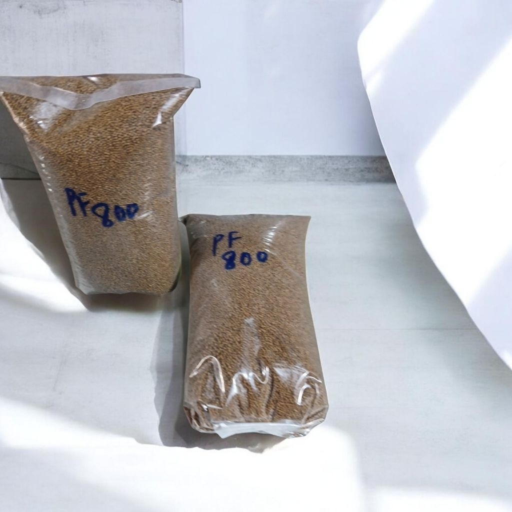 PELET IKAN PF 800 PELET IKAN KECIL BERAT 200 GRAM