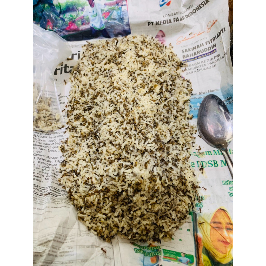 Kroto super Jos kurang lebih 50gram/Telur semut merah