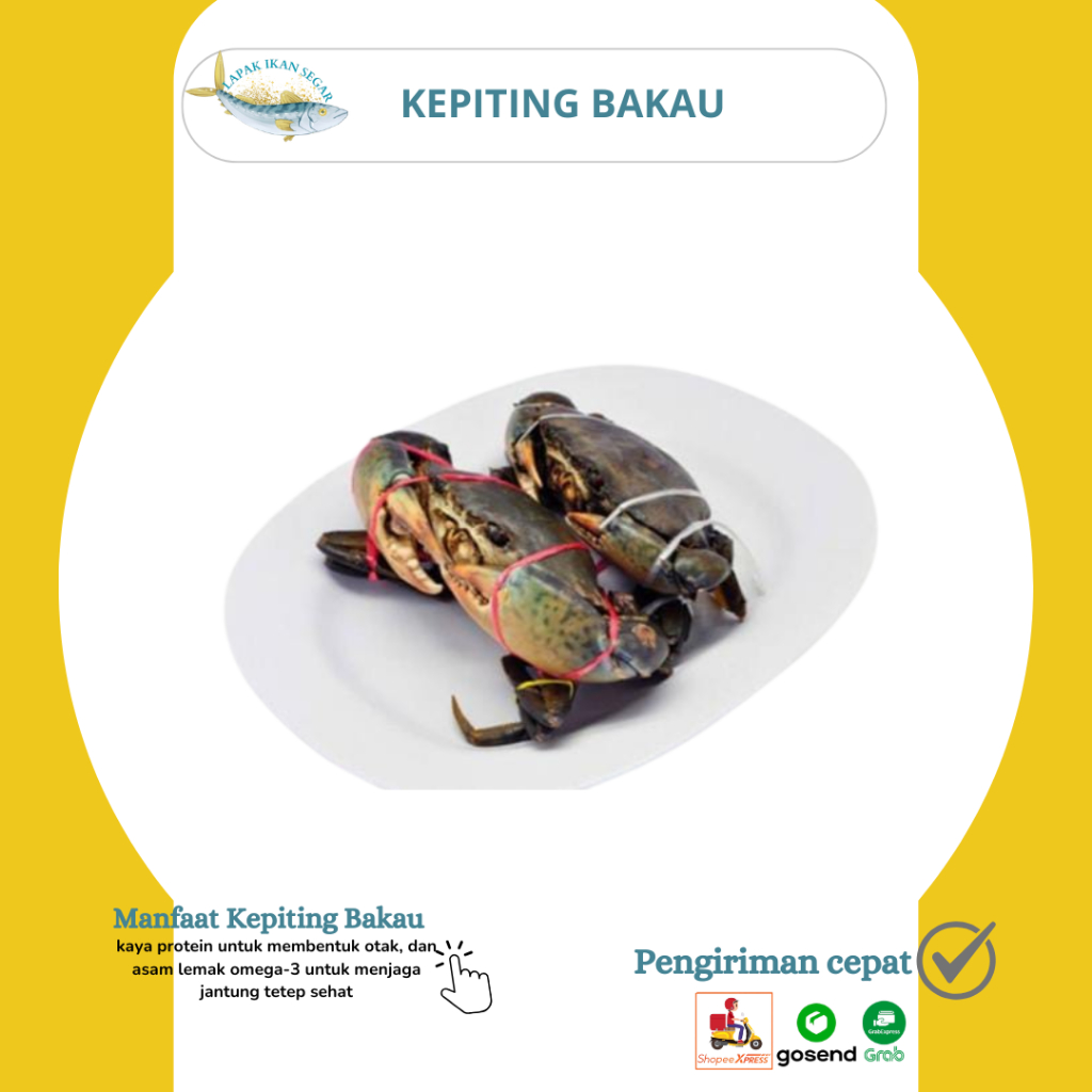 PO Kepiting Bakau / PRE ORDER Kepiting Bakau Hidup Segar