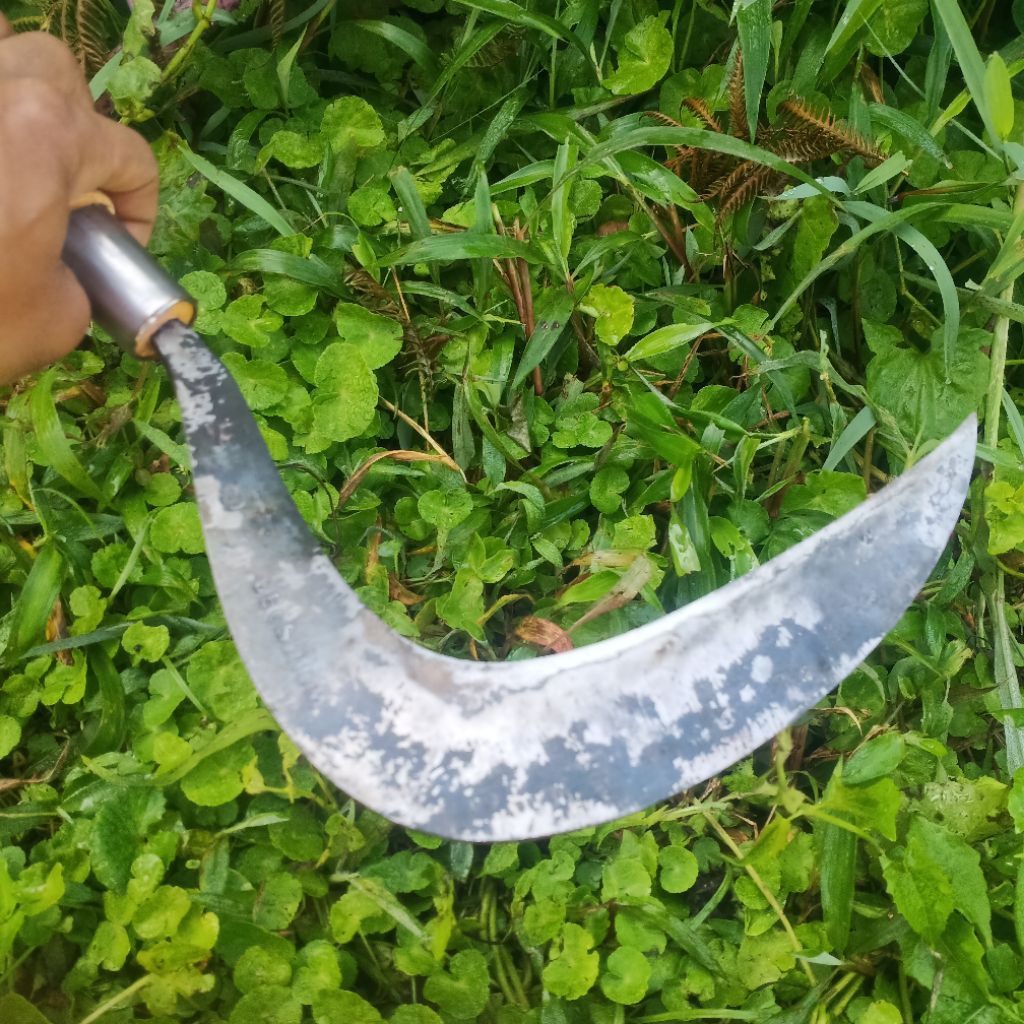 alat pertanian arit rumput baja isen