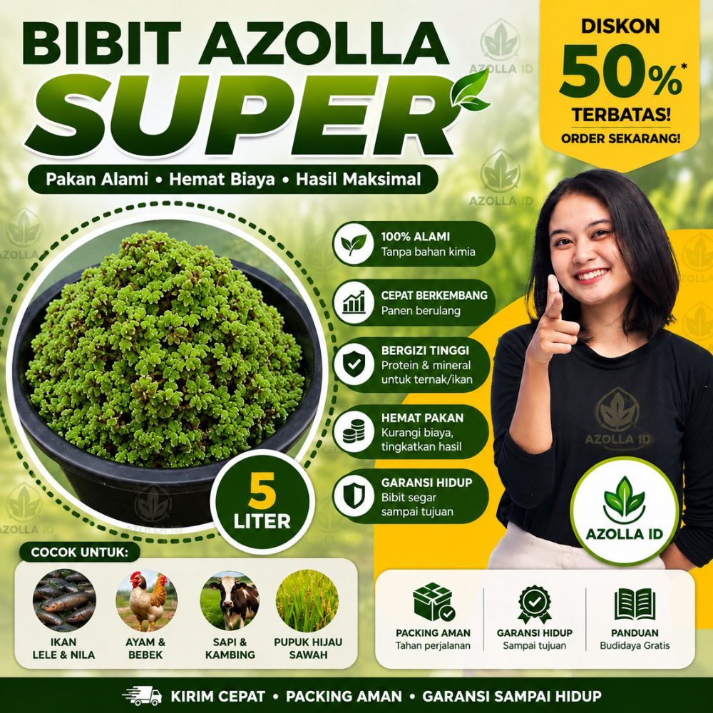 Bibit azola super 5 liter cepat tumbuh dan berkembang