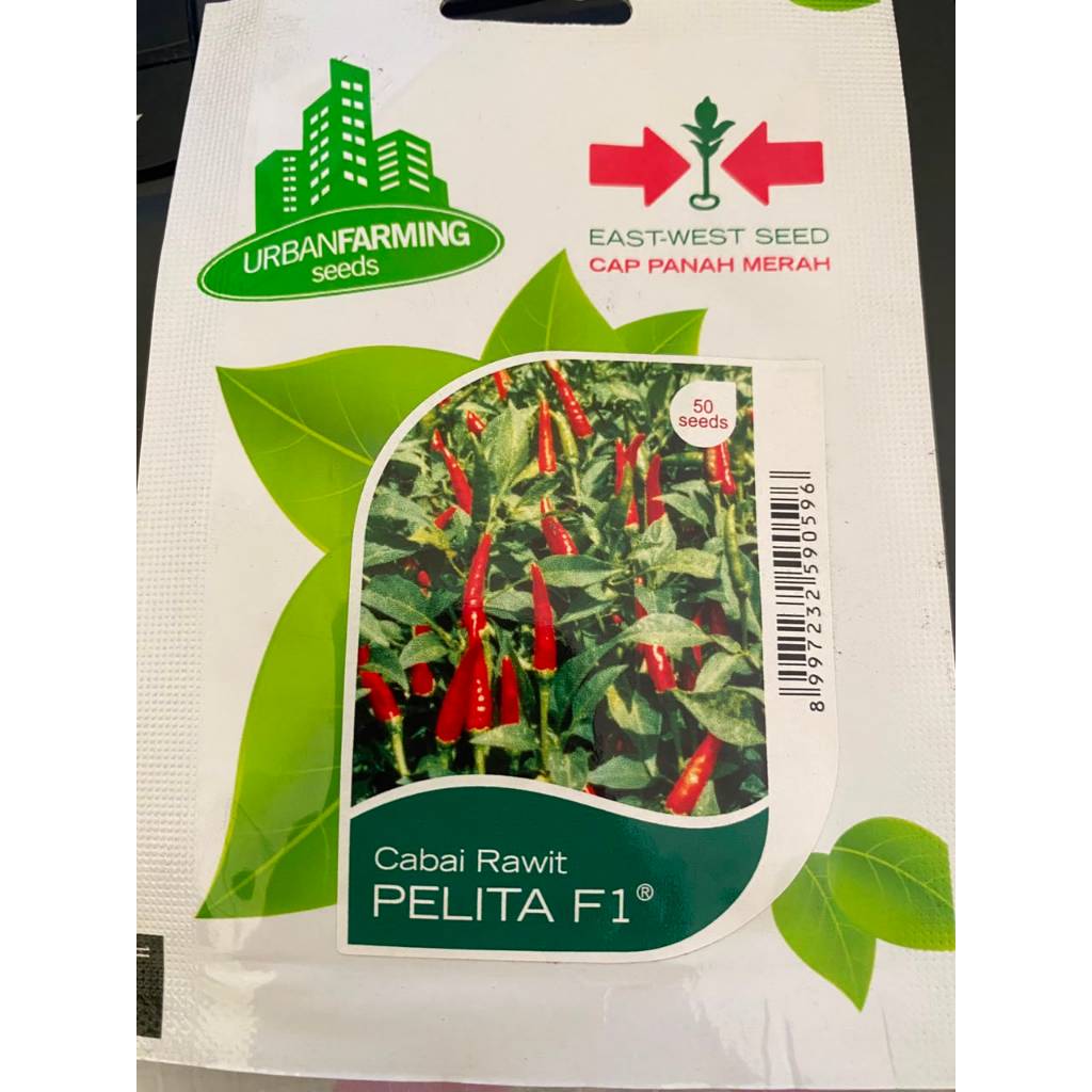 Benih Bibit Cabe Rawit Pelita F1 Cap Panah Merah