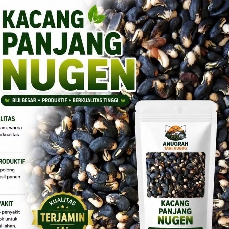 100 Biji Bibit Kacang Panjang Katrina Nugen Hitam Putih