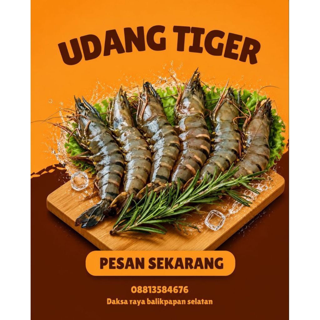 Udang Tiger Besar 0,5 kg