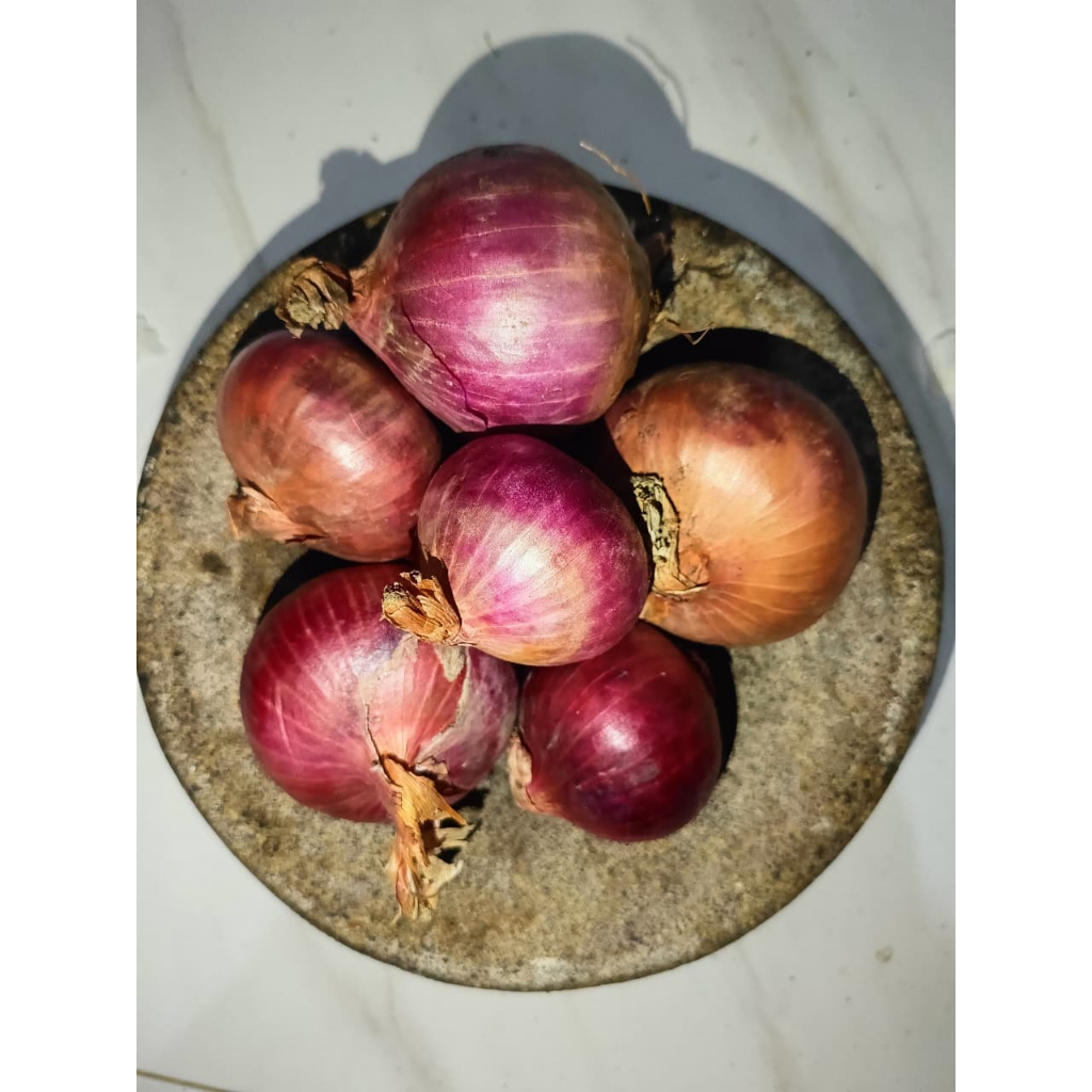 Bawang Merah India Peking Bawang Peking India Bawang Merah 10 kg perkarung