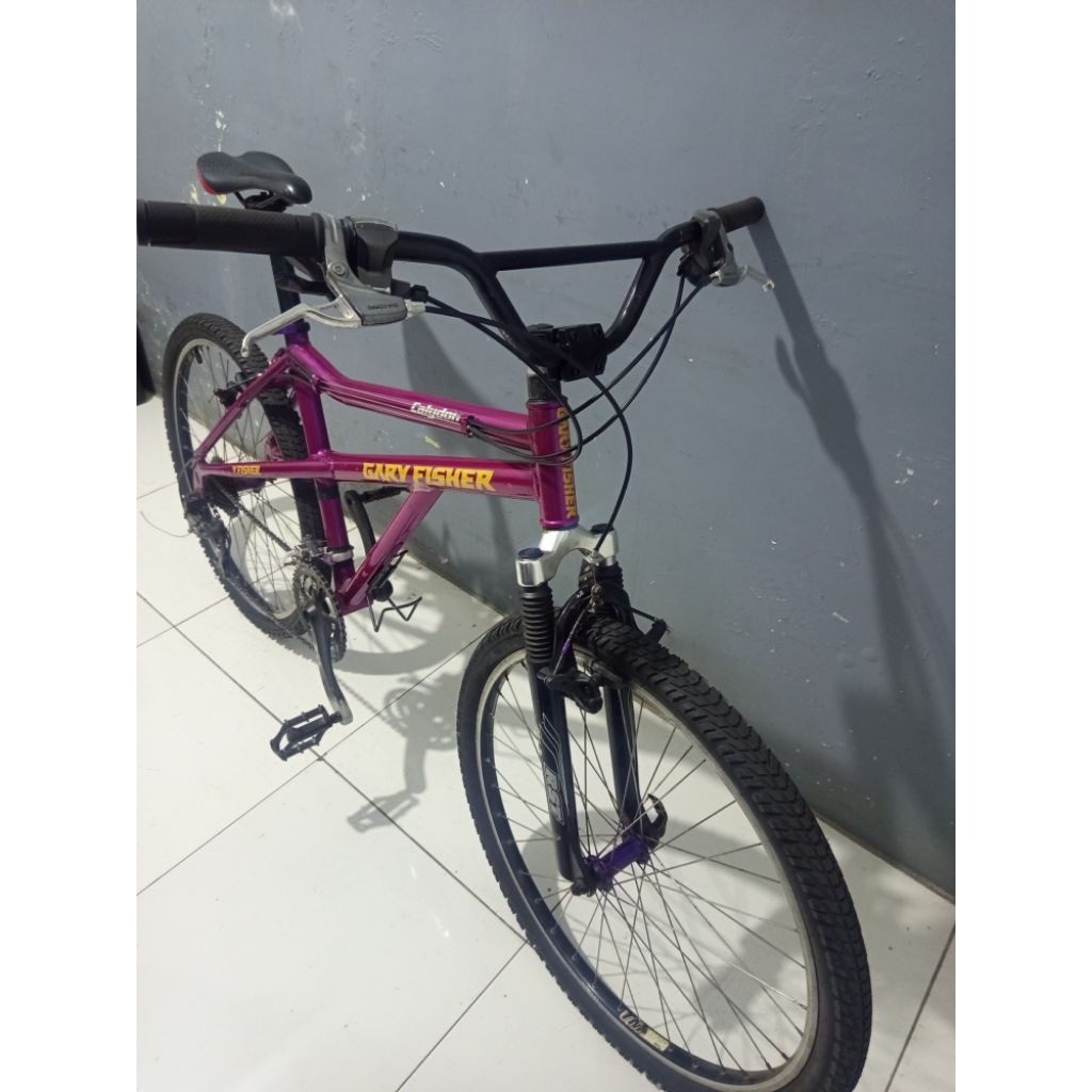 sepeda elevated