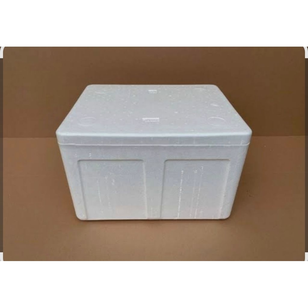 Box Styrofoam Packing Ikan