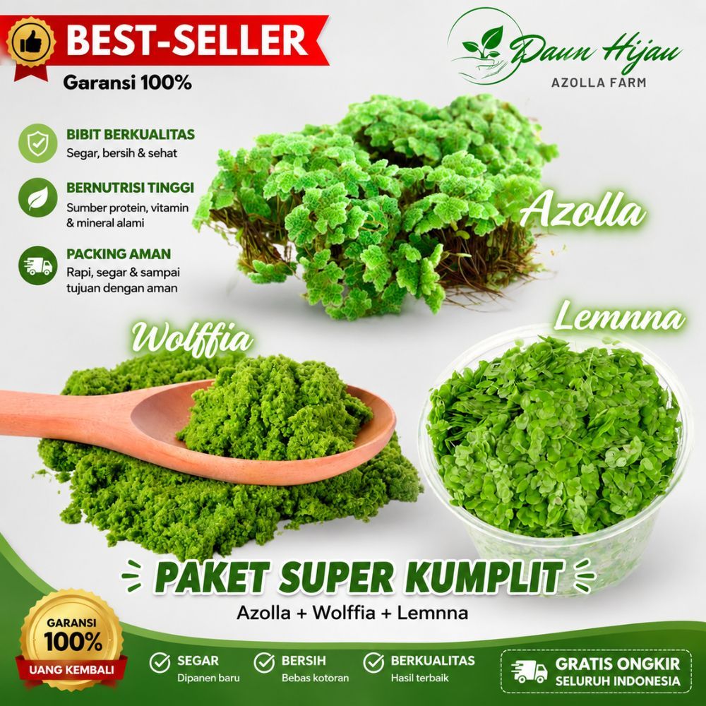 Wolffia Azolla Lemna Paket Lengkap Tanaman Air Pakan Ikan Komplit