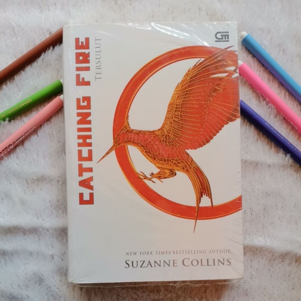 novel: catching fire-tersulut
