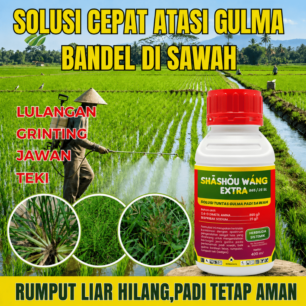 Shashouwang Merah Herbisida Sistemik Selektif Ampuh Pembasmi Rumput Grinting, Jawan, Jongkong, Lulan