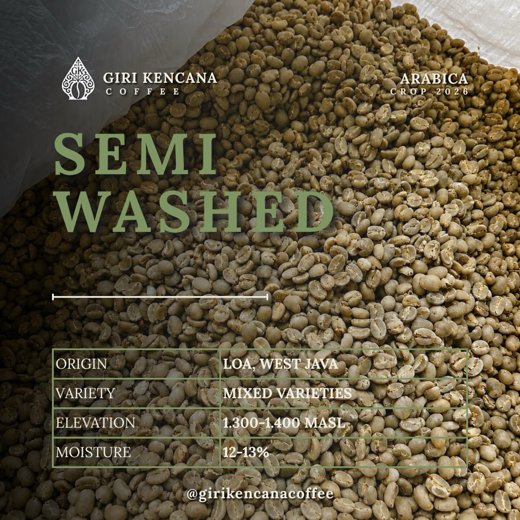 Green Bean Arabica Semi Washed Java Preanger – Coffee Bean Loa, Jawa Barat Grade 1 – Biji Kopi Menta