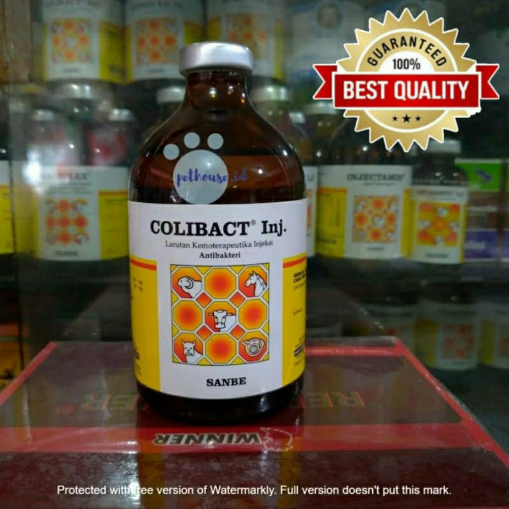 colibact inj 50 ml dan colibact 100ml / obat hewan ternak untuk saluran pencernaan