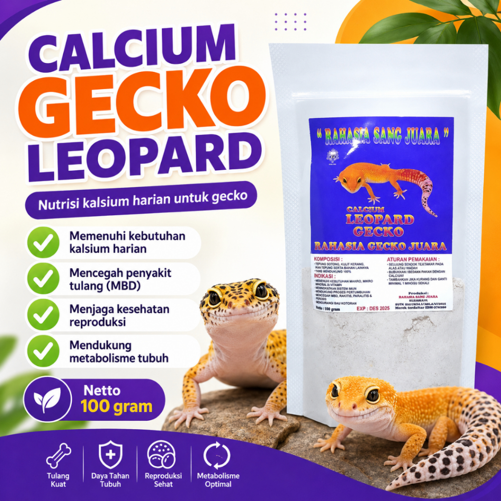Kalsium Gecko / Calsium Gecko Mendukung Pertumbuhan Gecko Dengan Maksimal