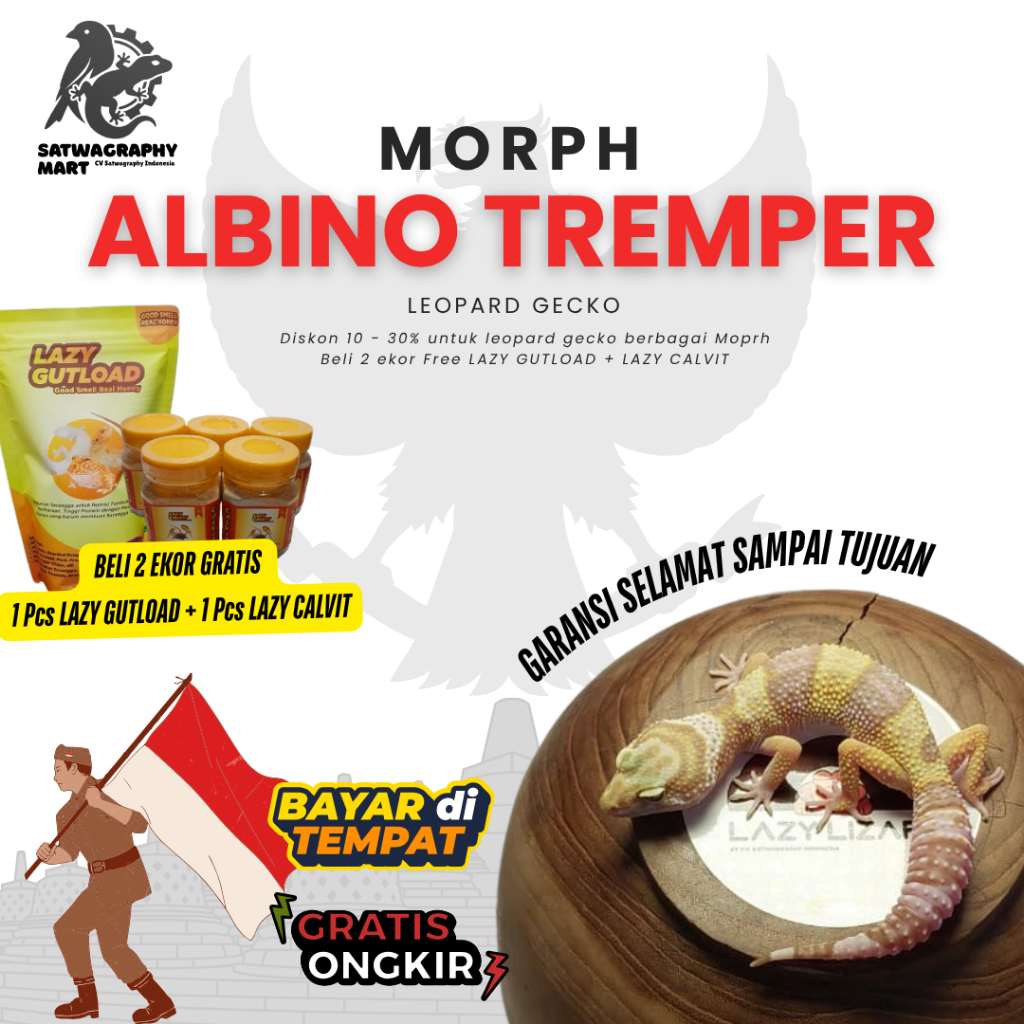 Mainan Anak GECKO Warna Albino TREMPER
