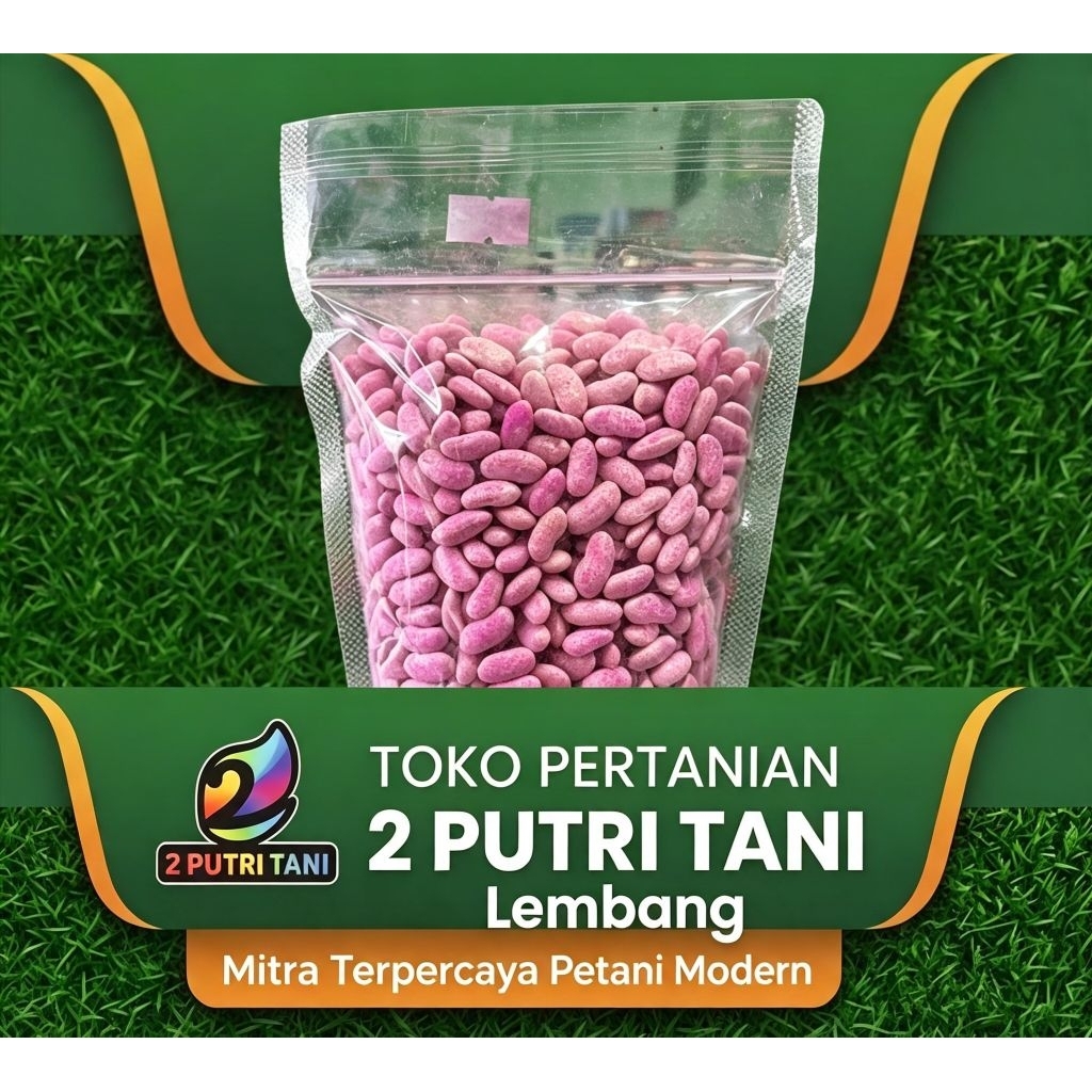 BENIH BUNCIS LOGAWA 500gr
