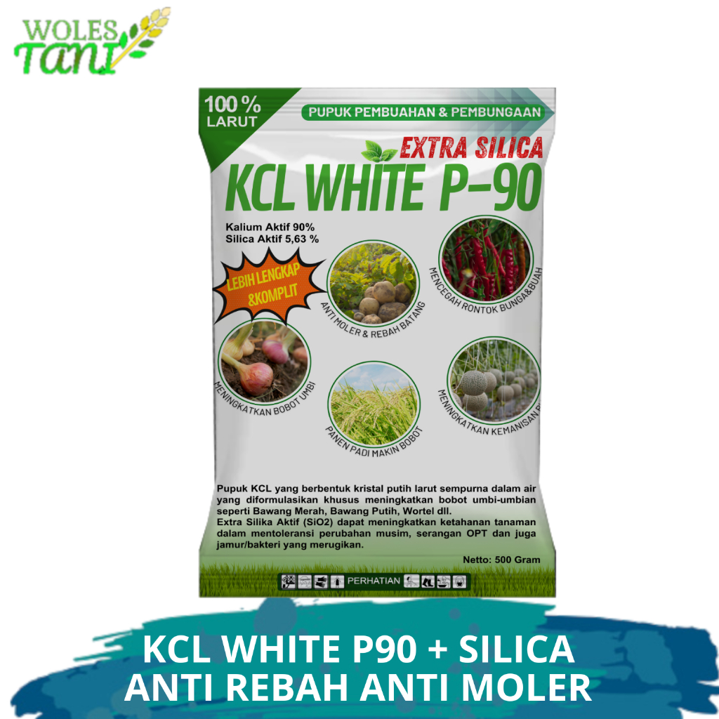 KCL White P90 Plus Silika 500 Gram Pupuk Penambah Bobot Buah