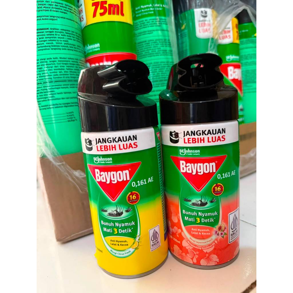Baygon Semprot Aerosol 200ml Citrus Dan Flower Garden