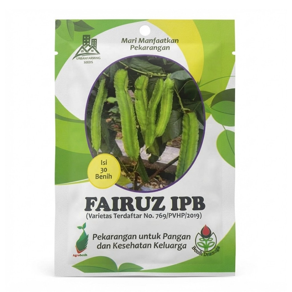 Benih Bibit Kecipir Hijau Fairuz IPB 30 Biji Dramaga Tanaman Sayuran