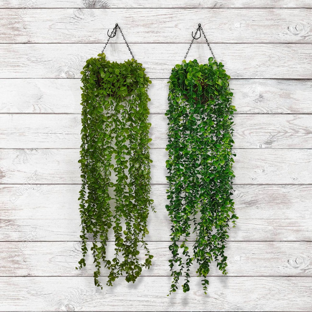 Juntai Ekaliptus Panjang 1 Pcs - pelaminan - hiasan import artificial hiasan Dekorasi Eucalyptus -  