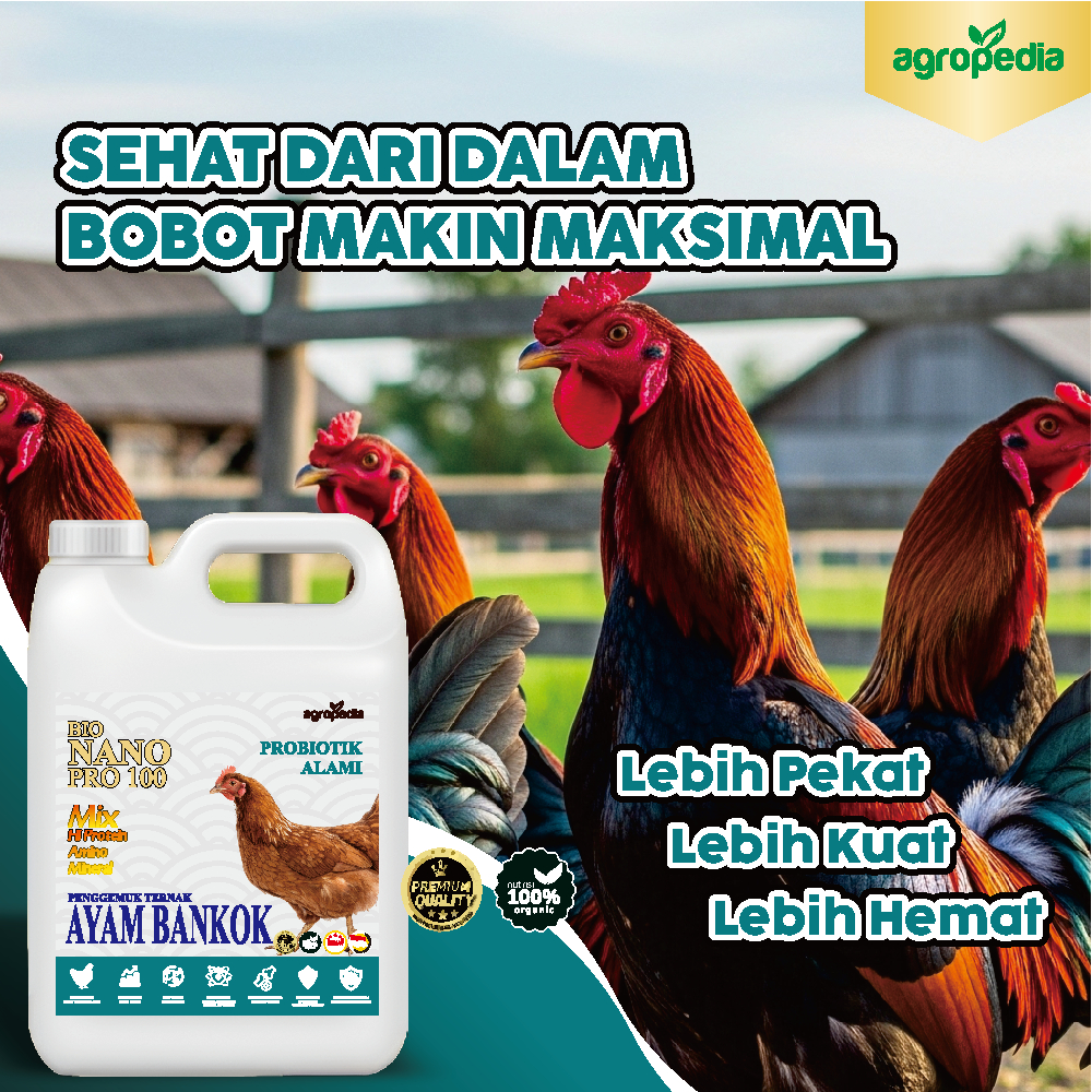 1 Liter Bio Nano Pro 100 Suplemen Booster Probiotik AYAM BANGKOK / meningkatkan bobot ternak / mempe