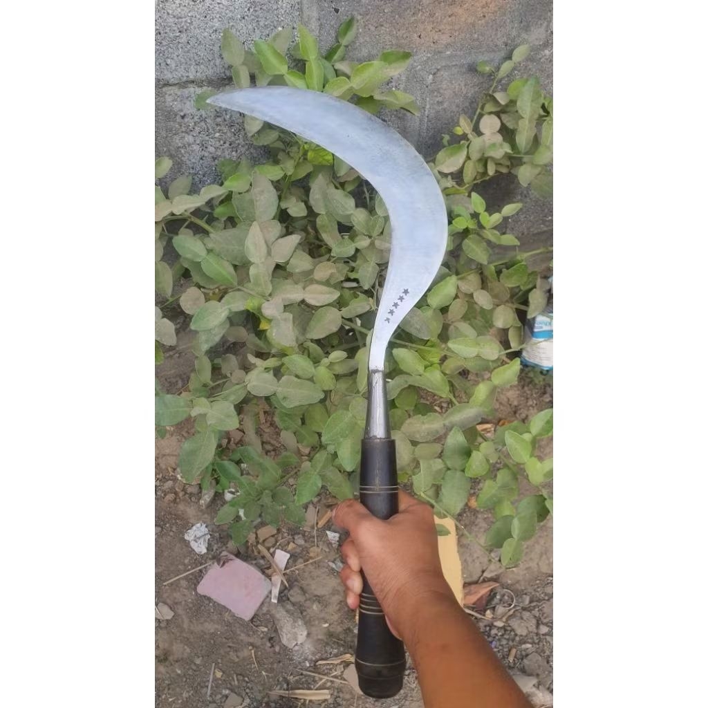 sabit madura bintang 5