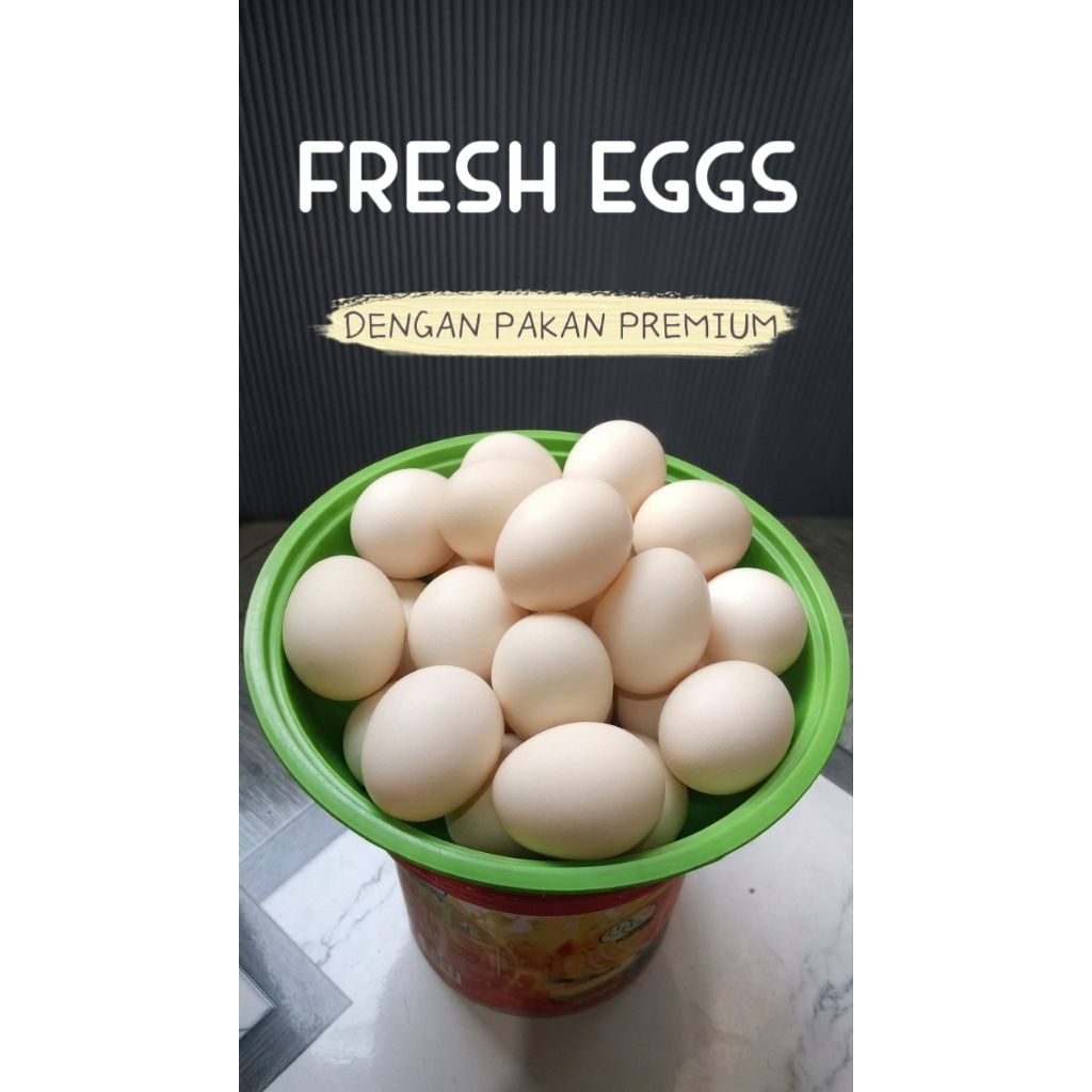 TELUR SEGAR ENTOG  TELUR PREMIUM TELUR ENTOK DENGAN PAKAN PREMIUM